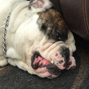 Meet your Posher, Adrian